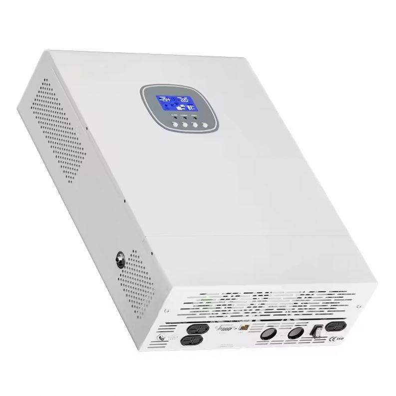 10KW Low Frequency On Off Grid Work Mode Inverter 12V 220V 6000W