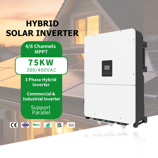 Fast Delivery Support Parallel Pure Sine Wave 380V/400V 75KW 100KW 125KW Solar Inverter Hybrid 3 Phase